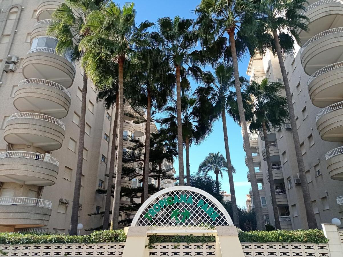 Tropicana Park Solo Familias Serviplaya Gandía Eksteriør billede